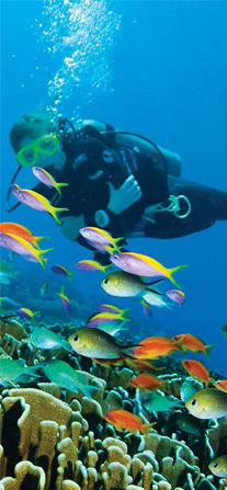 Scuba Diving Trip Booking Poster